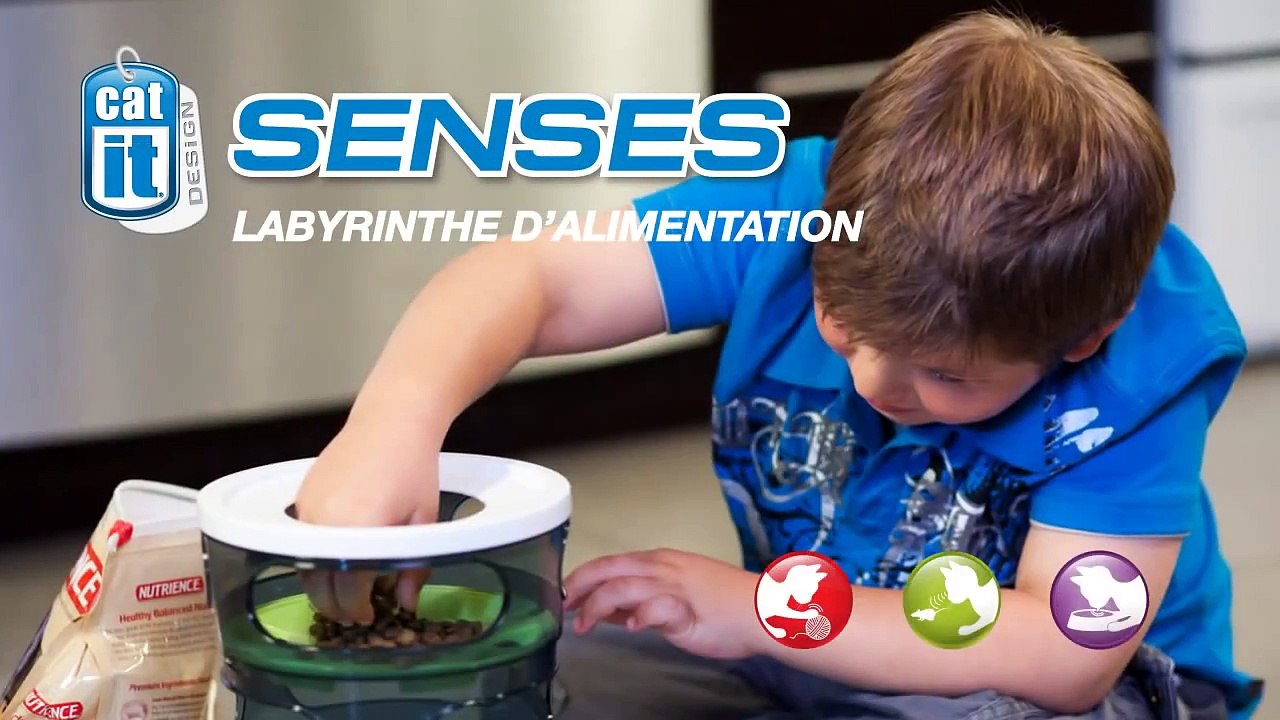 Senses Catit