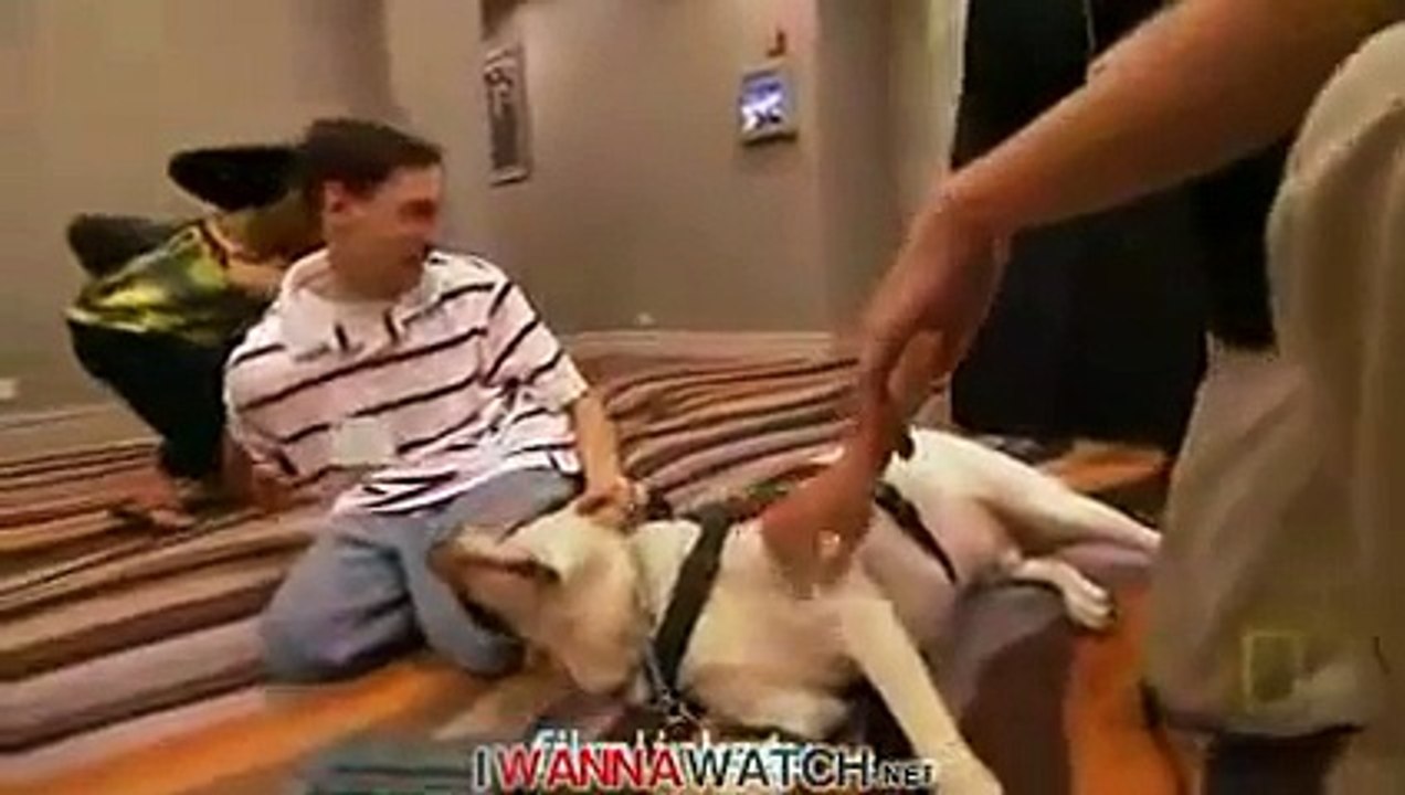 Extraordinary Humans - Muscles