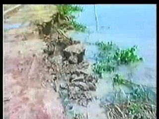 Lu lut mien tay - 5_9