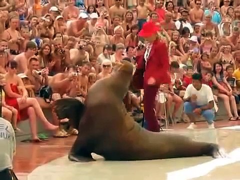 Un morse qui danse sur du Michael Jackson