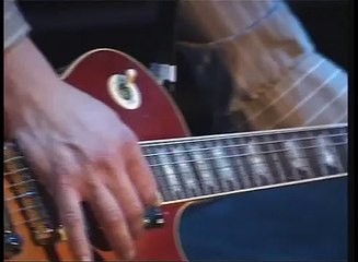 mercromina - vals de ballenas