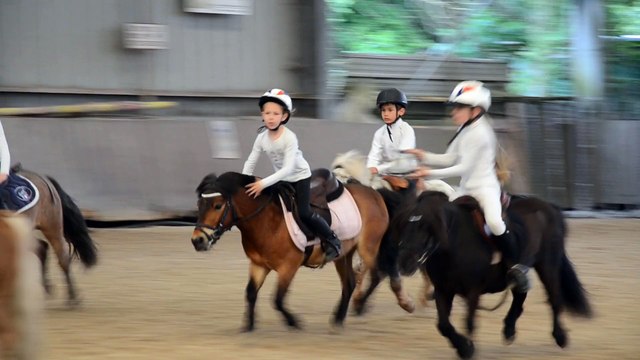Bully-les-Mines : les écuries des Fleurons sur le podium des championnats de France de sport équestre