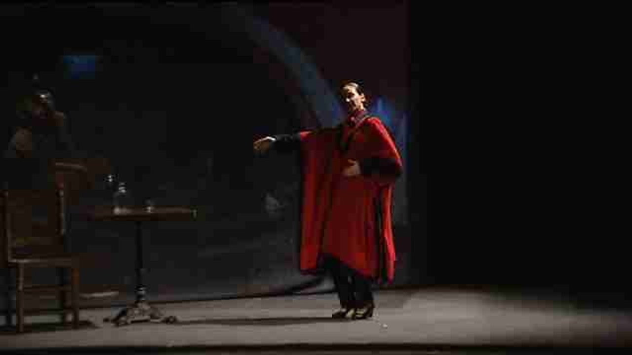 El baile flamenco homenajea a Chavela Vargas