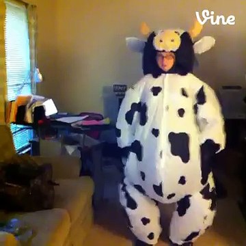 boom (2)?syndication=228326