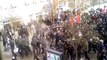 Anti-Nazi Demo in Hamburg-Bergedorf ( Polizei greift ein )