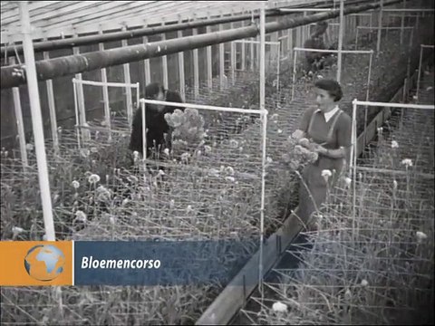 Bloemencorso - 1950