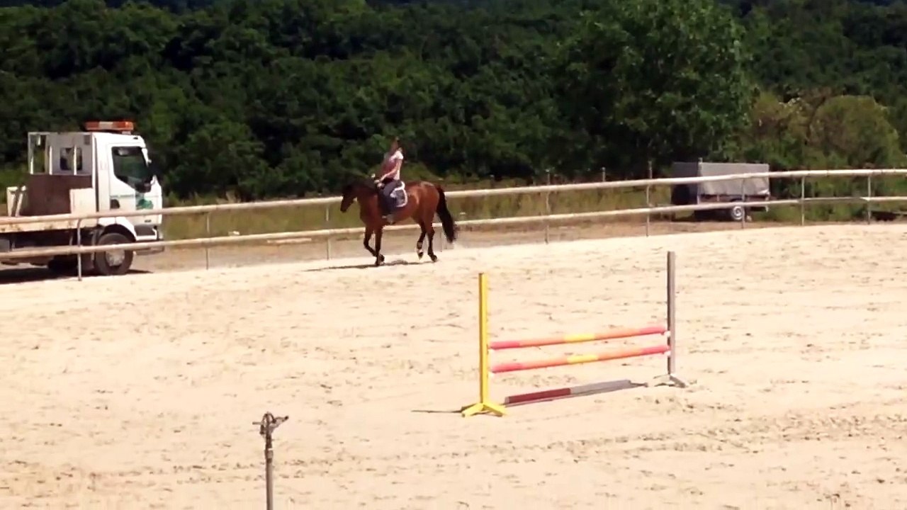 Une Image du Miroir - 02/06/2015 - Haras KRF