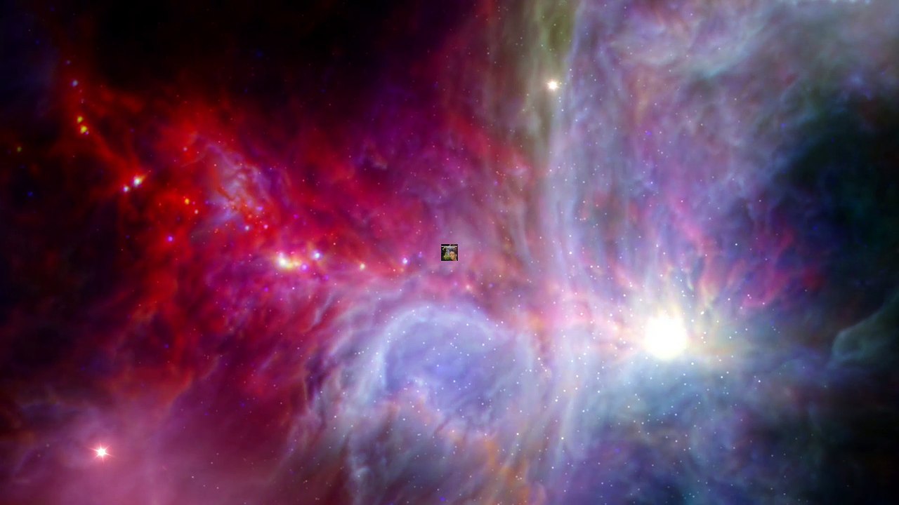 Animals React To Themselves In A Mirror | What's Trending Now