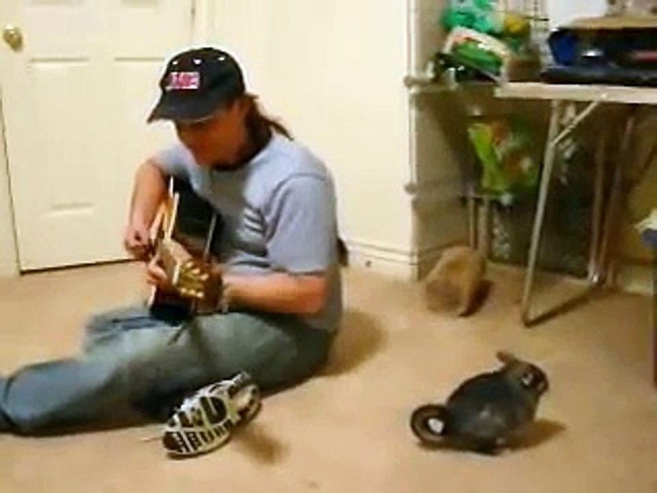 TIKI THE FAMOUS DANCING CHINCHILLA