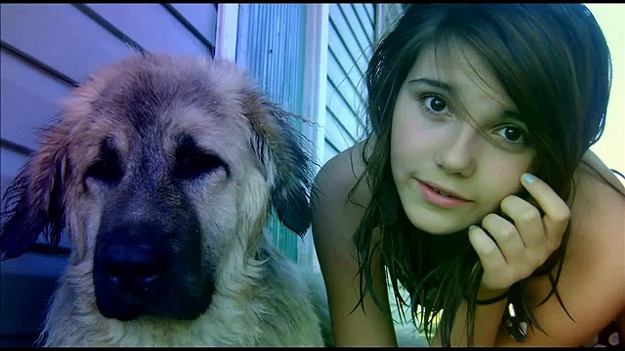 Mignon chiens !! 2014 vidéos drôles! Regardez!