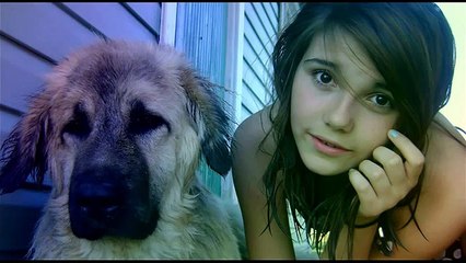 Mignon chiens !! 2014 vidéos drôles! Regardez!