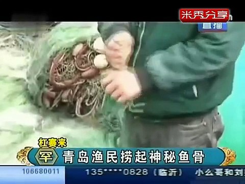 Unknown Skeleton of Sea Creature Found in Qingdao China