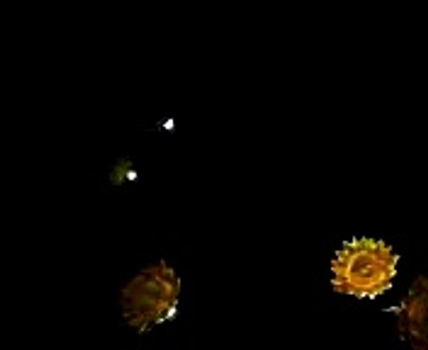 Twinkling solar flower lights