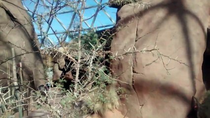 Henry Doorly Zoo Omaha, Nebraska