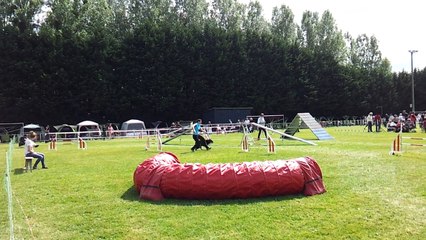 Fibule agility trophee Mai 2015