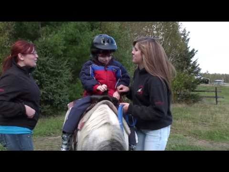 Pony Rides