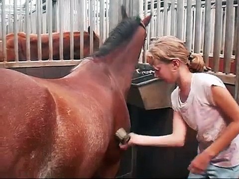Hoe moet je een pony poetsen ?