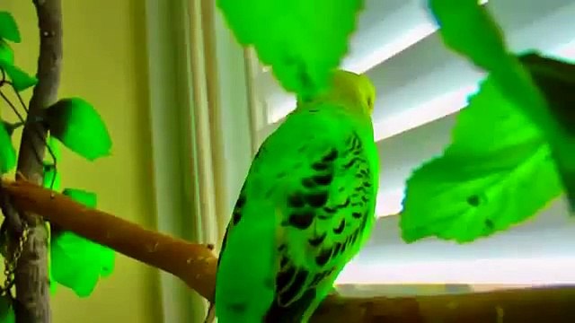 Новый офис туристической компании Арт Азия в Алматы