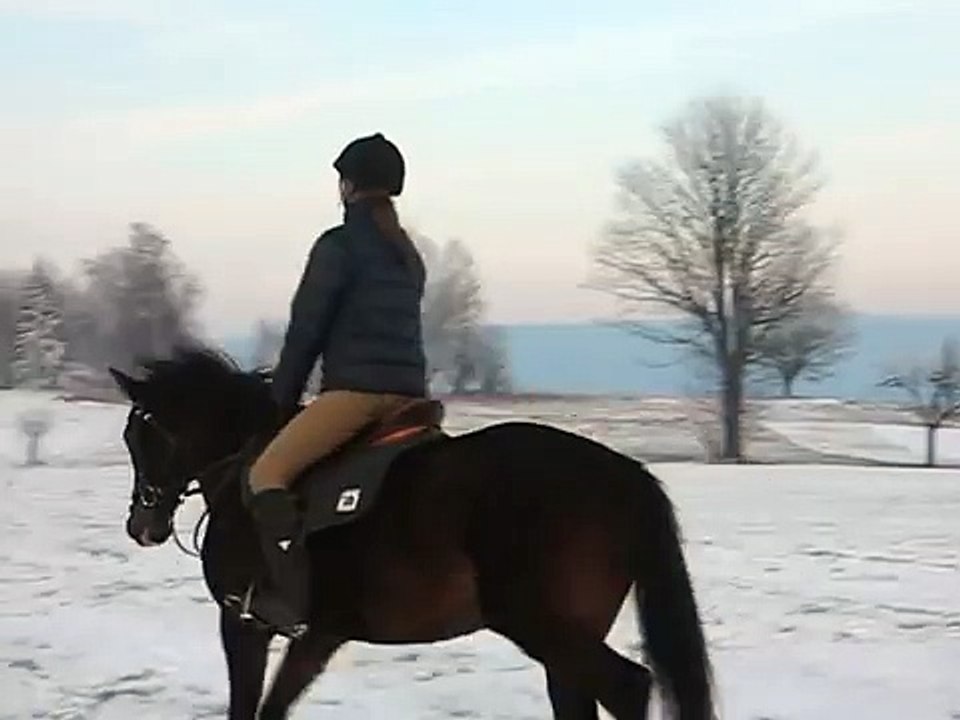 Jízda na koni