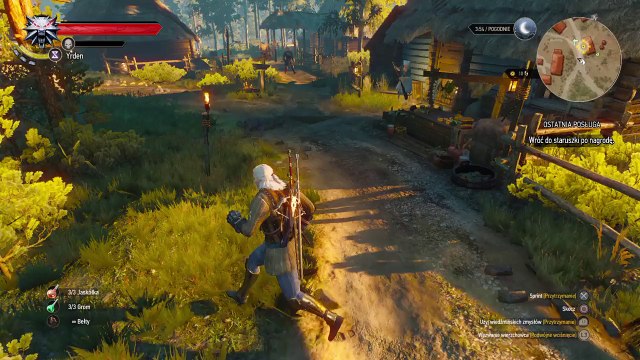 Wiedźmin 3: Dziki Gon i dziki kooooooń