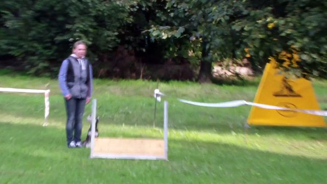 6 сентября Чемпионат РКФ по Обидиенс. цвергшнауцер Алгрис Италия (Тоша) Прыжок через барьер