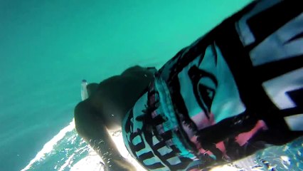 Mauritian dolphins discovery