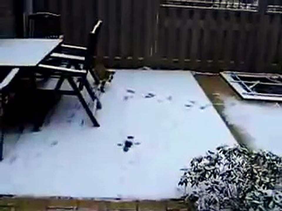 Lola in de sneeuw