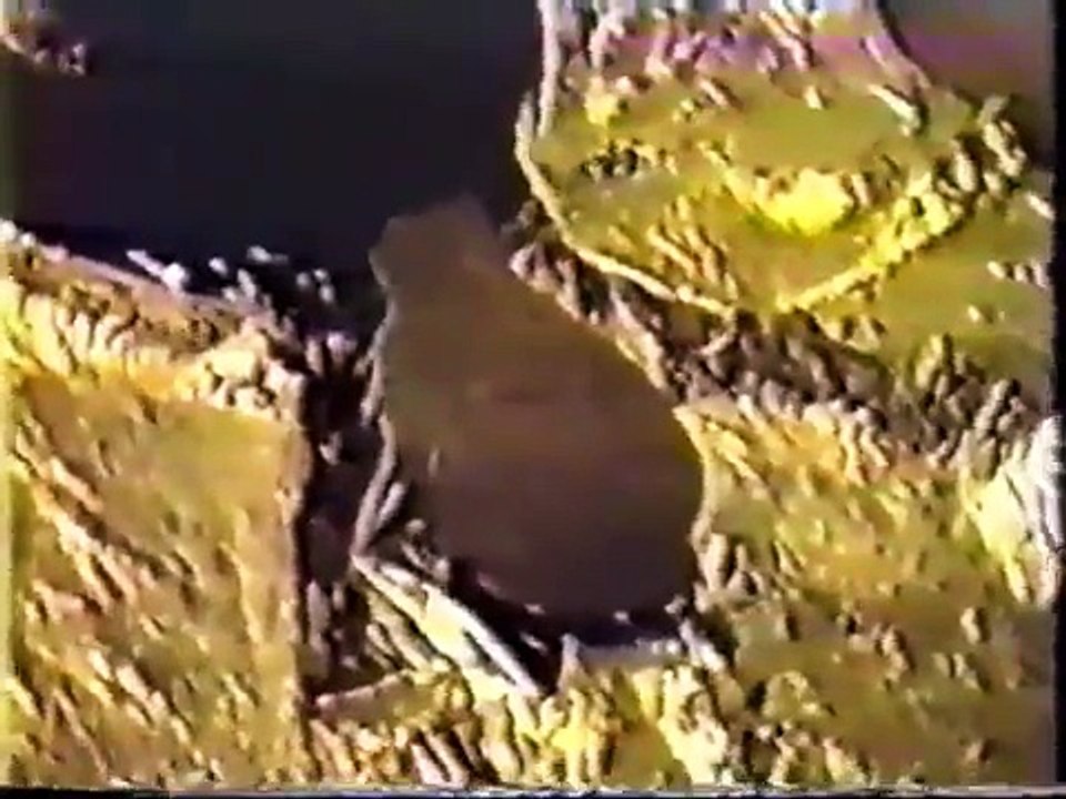 Injured Alien examined by Dr Jonathan Reed