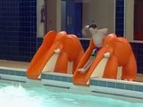 Mr Bean _ Swimming Pool