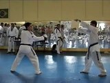 Taekwondo 540° Hook Kick - Nicolay