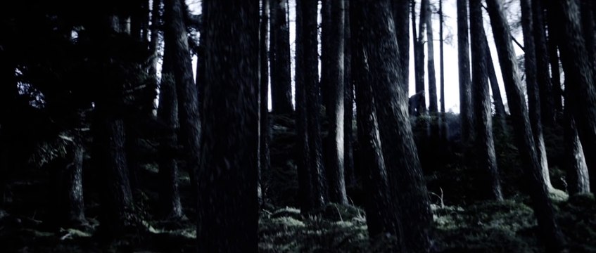 Primordial - Babel's Tower