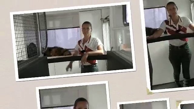 Buy Horse Floats, Horse Floats For Sale, Horse Floats Victoria