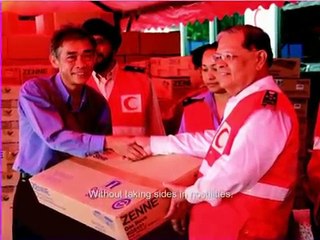 7 Principles for Success