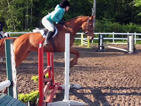 Concours Chasseur/sauteur - Ranch Massawippi - 31 mai 2009