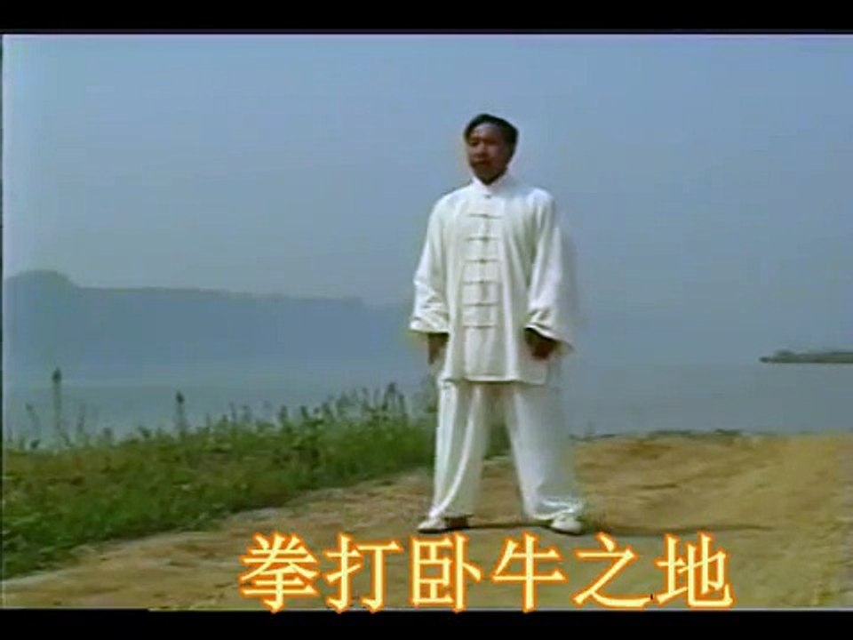 Hulei taijiquan gongfu：5-jing 1-lu 忽雷太极拳 五劲 一路 张随胜