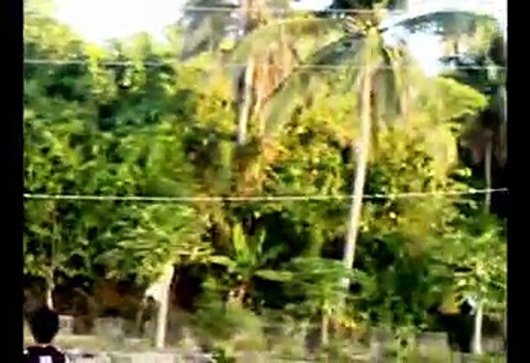 UPS - Calbayog Race_3.mpg