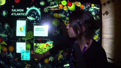 city tour capítulo 13 temporada 2015. HD 720p (28 de mayo 2015)