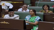 Telangana CM KCR powerful speech in the assembly - Telangana assembly
