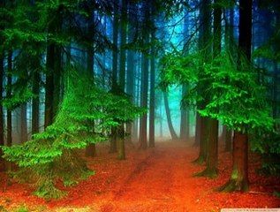 Welcome to my world Jim Reeves covered by smanusak