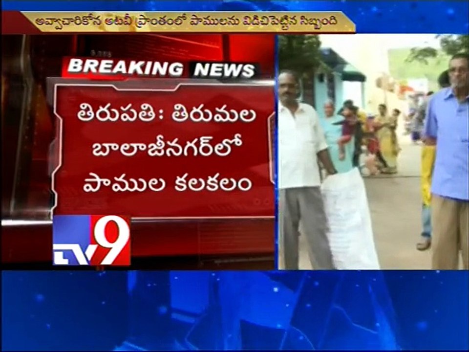 Snakes terrorise Tirumala residents