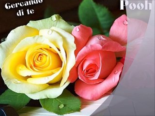 POOH - Cercando di te