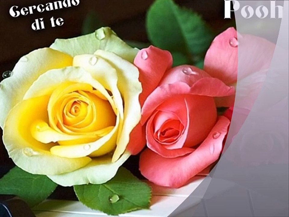 POOH - Cercando di te