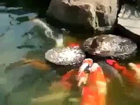 Allah Ki Qudrat-Allah Ki Shan-Merical Of Allah-Mojza-Azab E Qabar-Qabar Ka Azab