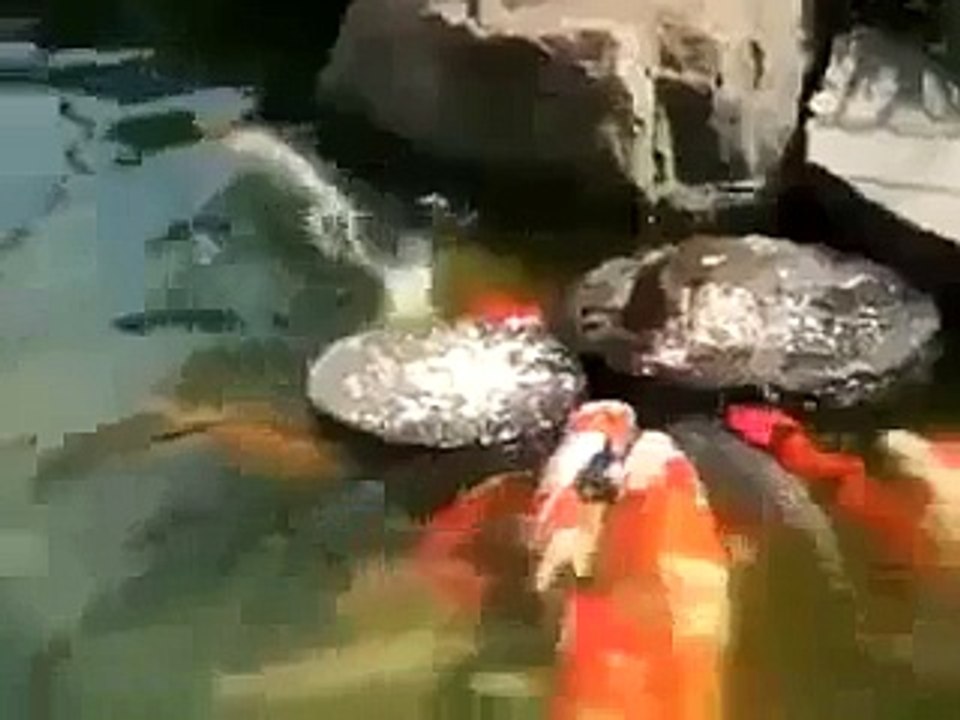 Allah Ki Qudrat-Allah Ki Shan-Merical Of Allah-Mojza-Azab E Qabar-Qabar Ka Azab