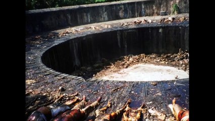 【ホラー】ゾロアスター教とかいう宗教の遺体の埋葬方法がヤバイ