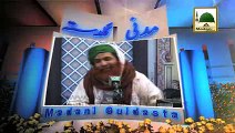 Maulana Ilyas Qadri - Madani Guldasta 134