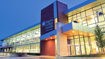 Made In Welland (2013)