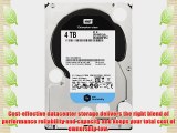 Western Digital 4 TB 3.5-Inch WD Se SATA III 7200 RPM 64 MB Cache Bulk/OEM Enterprise Hard