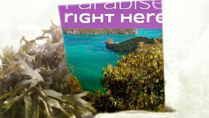 Brazil Flight Tickets