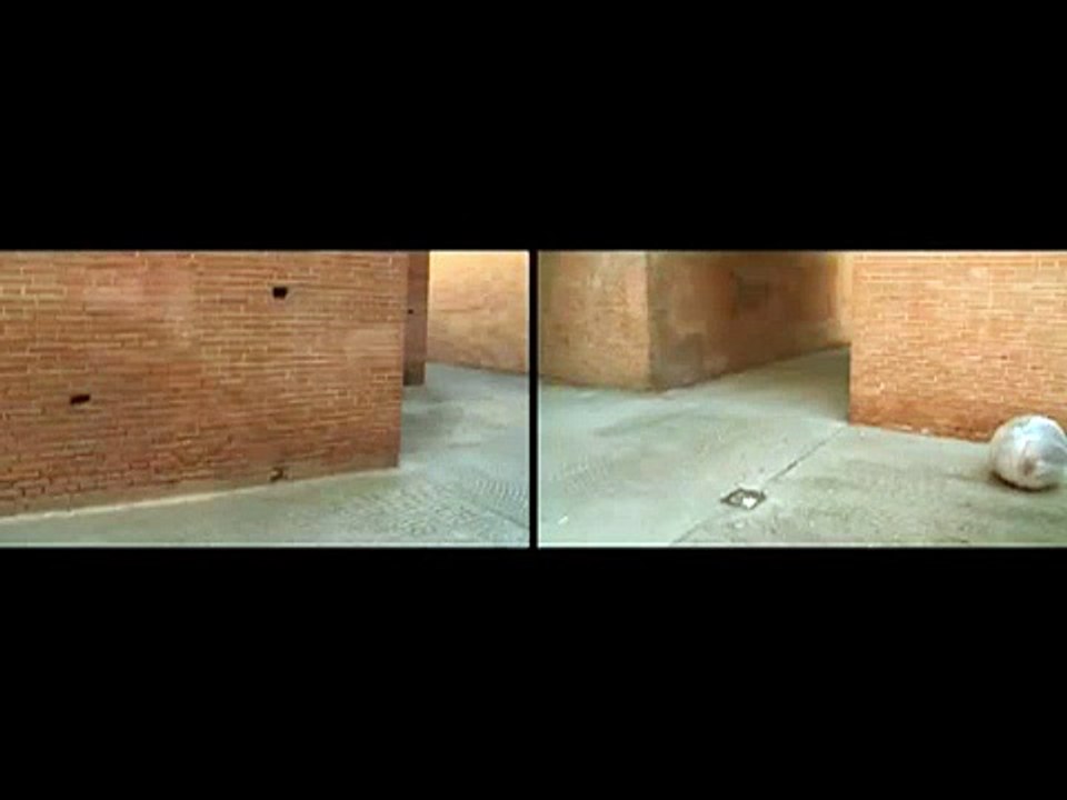 Sara Ramo | Quase Cheio, Quase Vazio [Nearly Full, Nearly Empty]